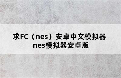 求FC（nes）安卓中文模拟器 nes模拟器安卓版